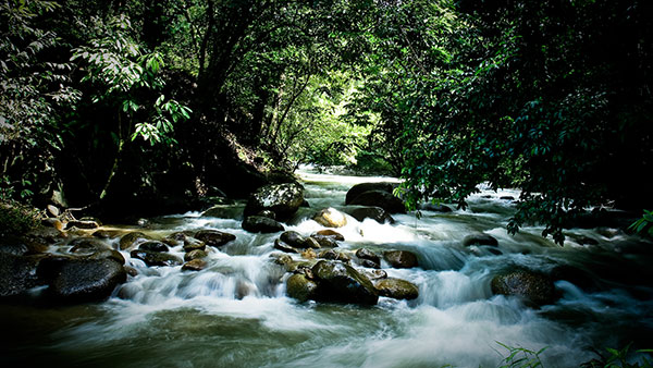 Kuala Lumpur Wellness Tour V1 (Privately Organized)